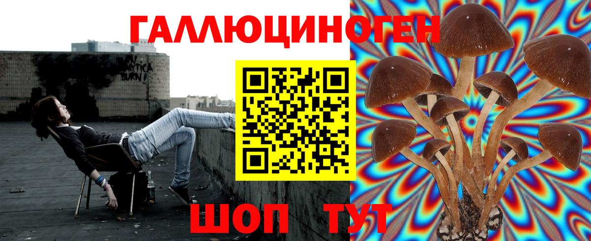 Изобильный  Псилоцибиновые грибы Psilocybe  Вход с VPN 