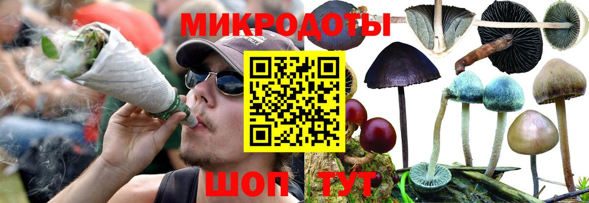 Галлюциногенные грибы Cubensis Изобильный